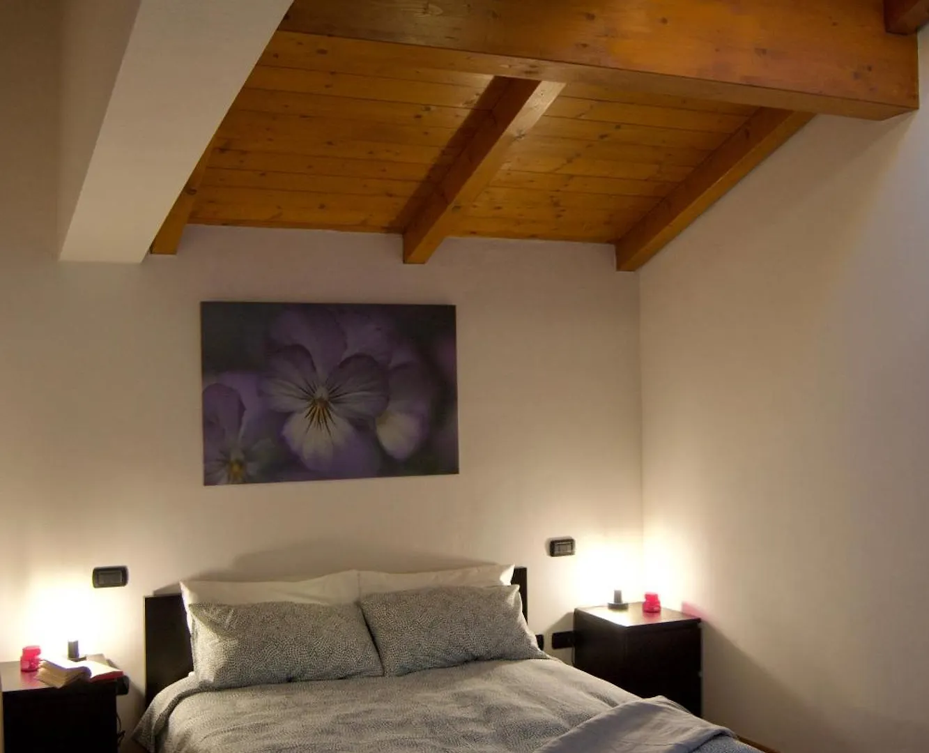 Appartamento Casa Viola, Deliziosa Mansarda In Centro Storico Modena